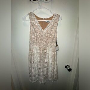 Kensie Cream Lace Dress